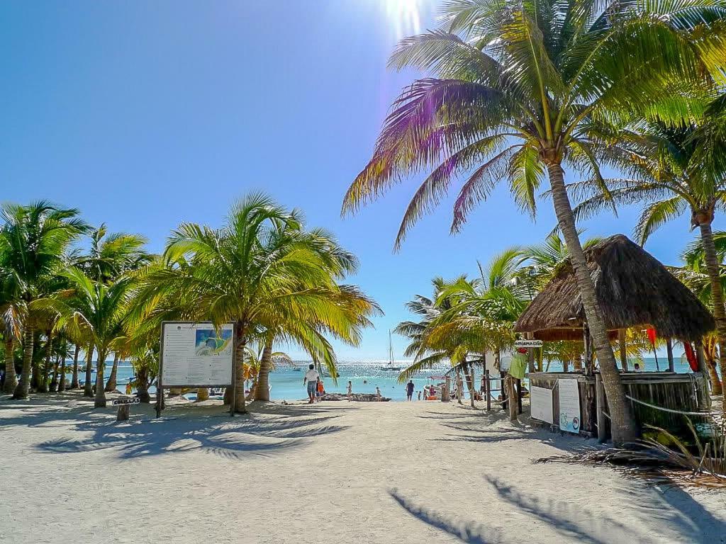 Apartments In Gated Residential Within Bahia Principe Grounds Akumal Eksteriør bilde